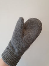 Load image into Gallery viewer, Terri&#39;s Mittens